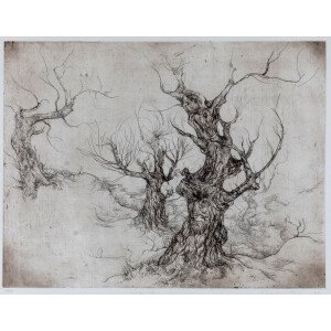 121. Edita Suchockytė (g. 1975)