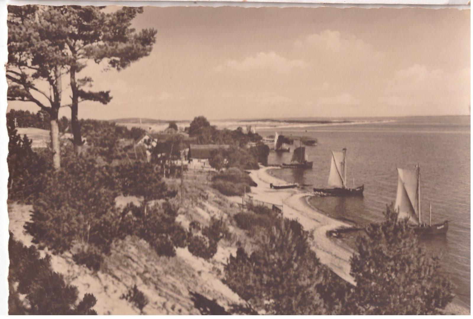 383. Kuršių nerija Nida kurėnai