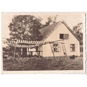 284. Kuršių nerija, Nida, plekšnės