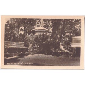 392. Palanga Birutės kalnas