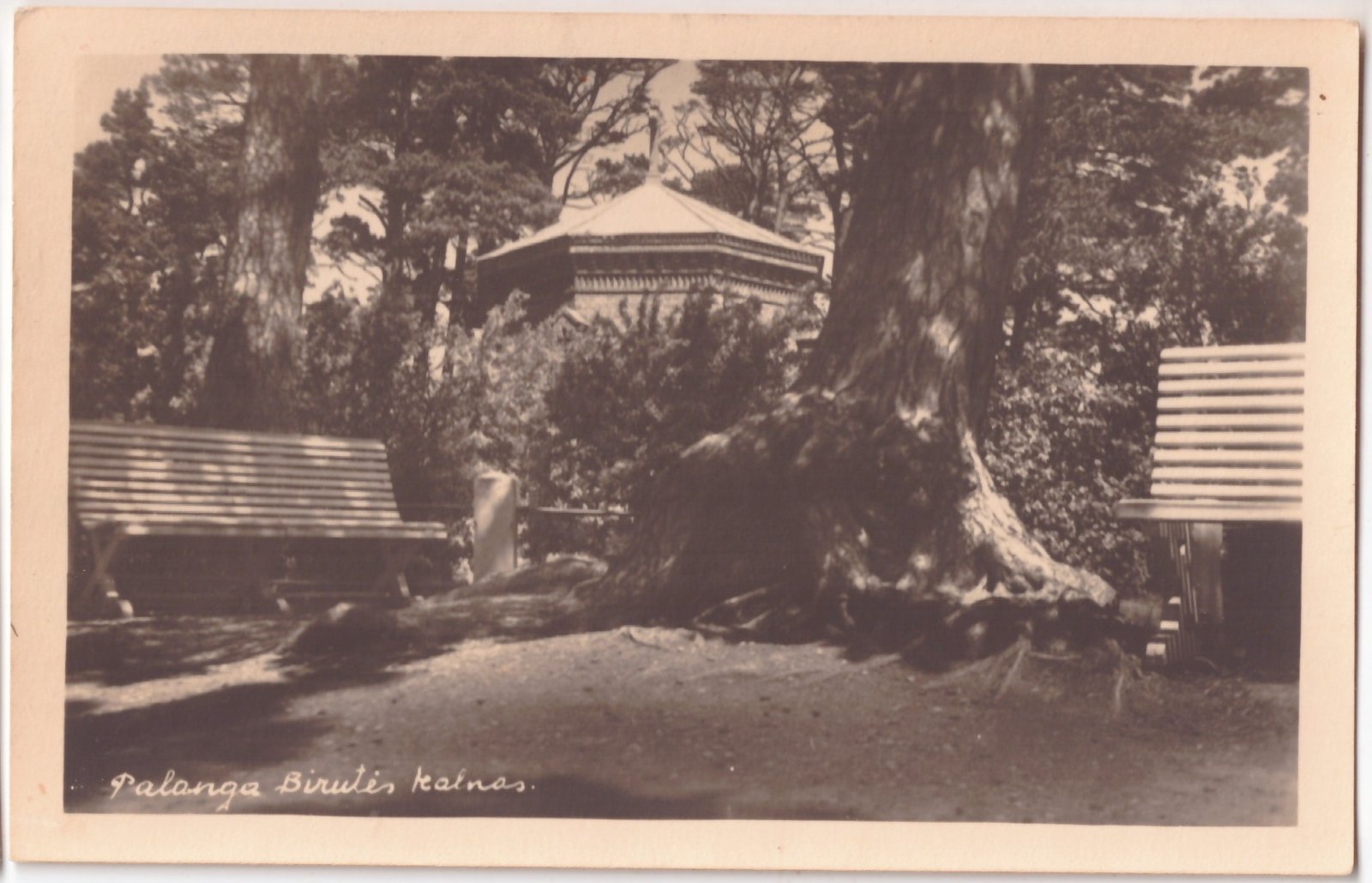 392. Palanga Birutės kalnas