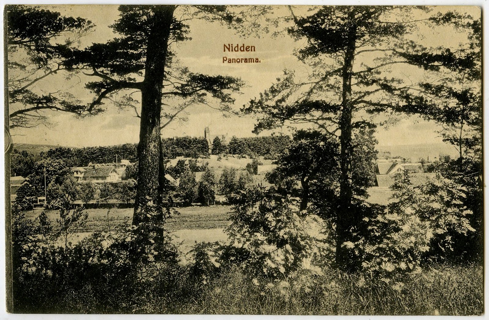 434. Kuršių Nerija Nida panorama