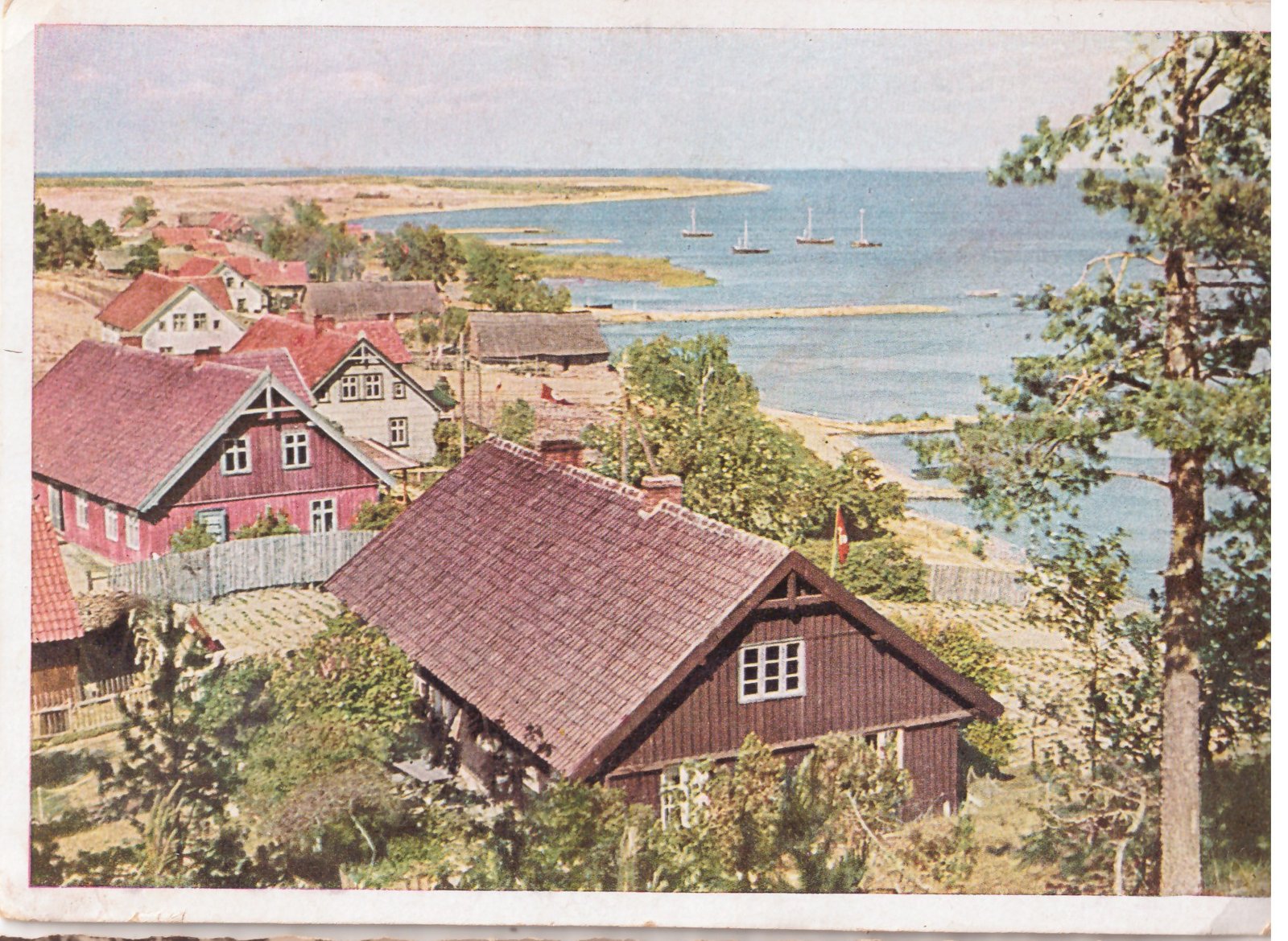 435. Kuršių Nerija Nida panorama