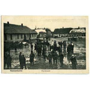 444. Radviliškis arklių turgus