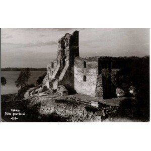 451. Trakai pilies griuvėsiai