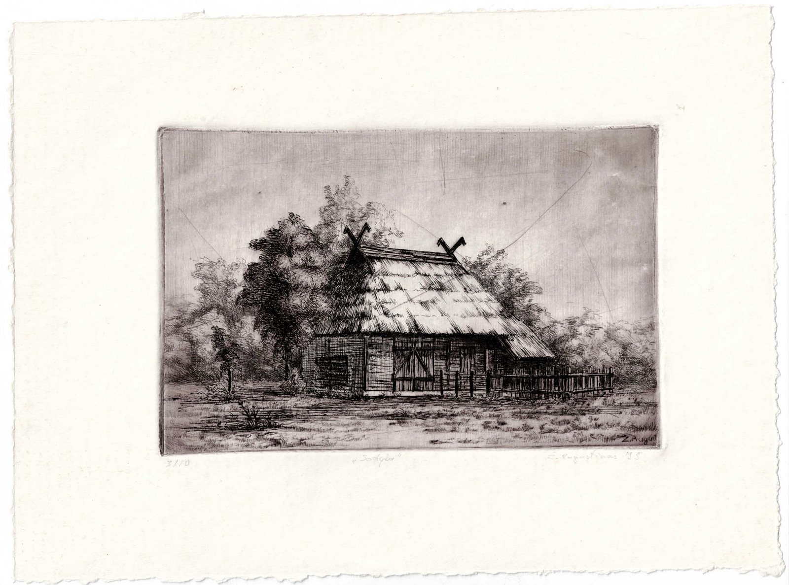 66. Žygimantas Augustinas (g. 1973)