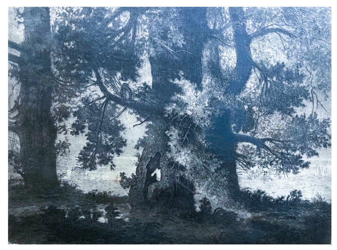 112. Edvardas Kučinskis(Edward Kuczyński, 1905 –...