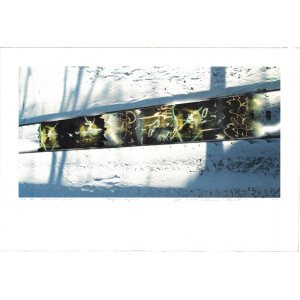 121. Gediminas Pranskūnas (g.1957)