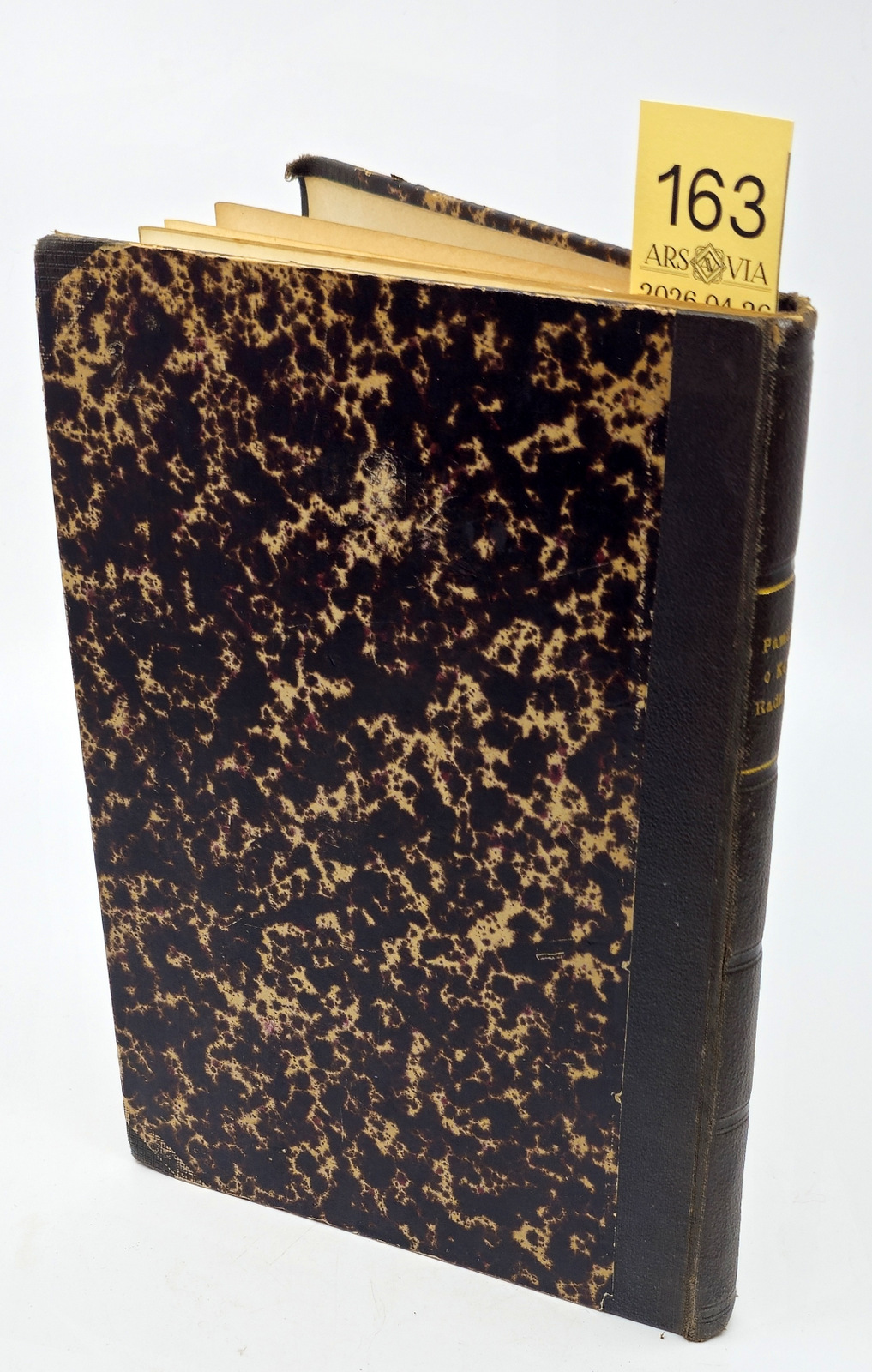 163. Karolio Radvilos biografija 1864