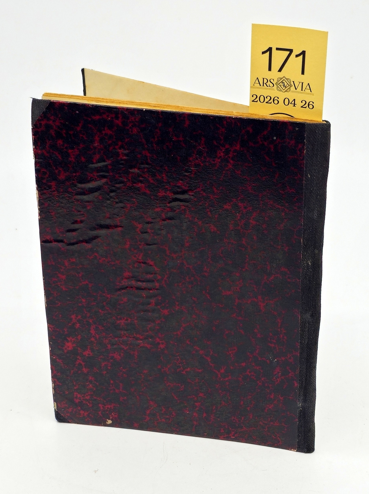 171. P. Vileišio Vilniaus istorija 1893