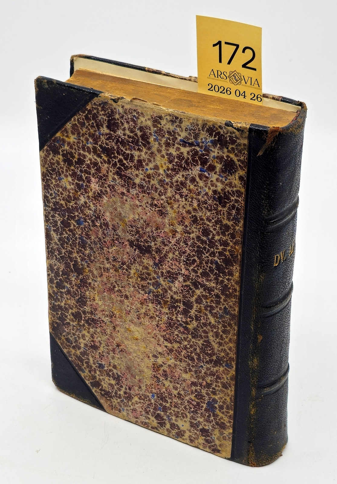 172. Katalikiškos meditacijos 1900