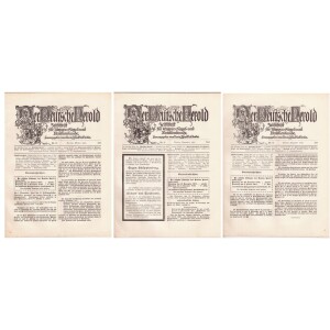 225. Heraldikos žurnalas 3 vnt. 1910