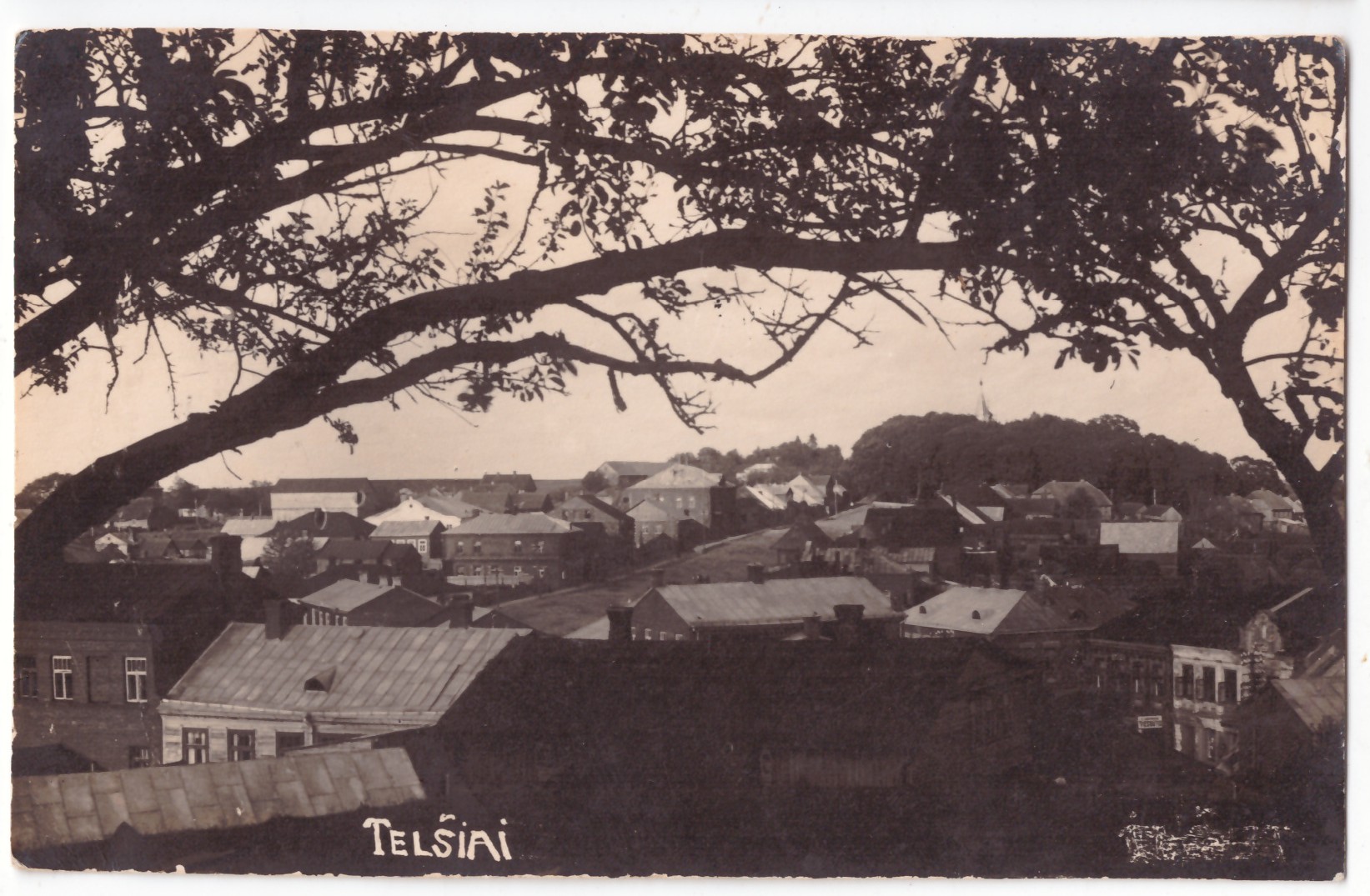 457. Telšiai panorama