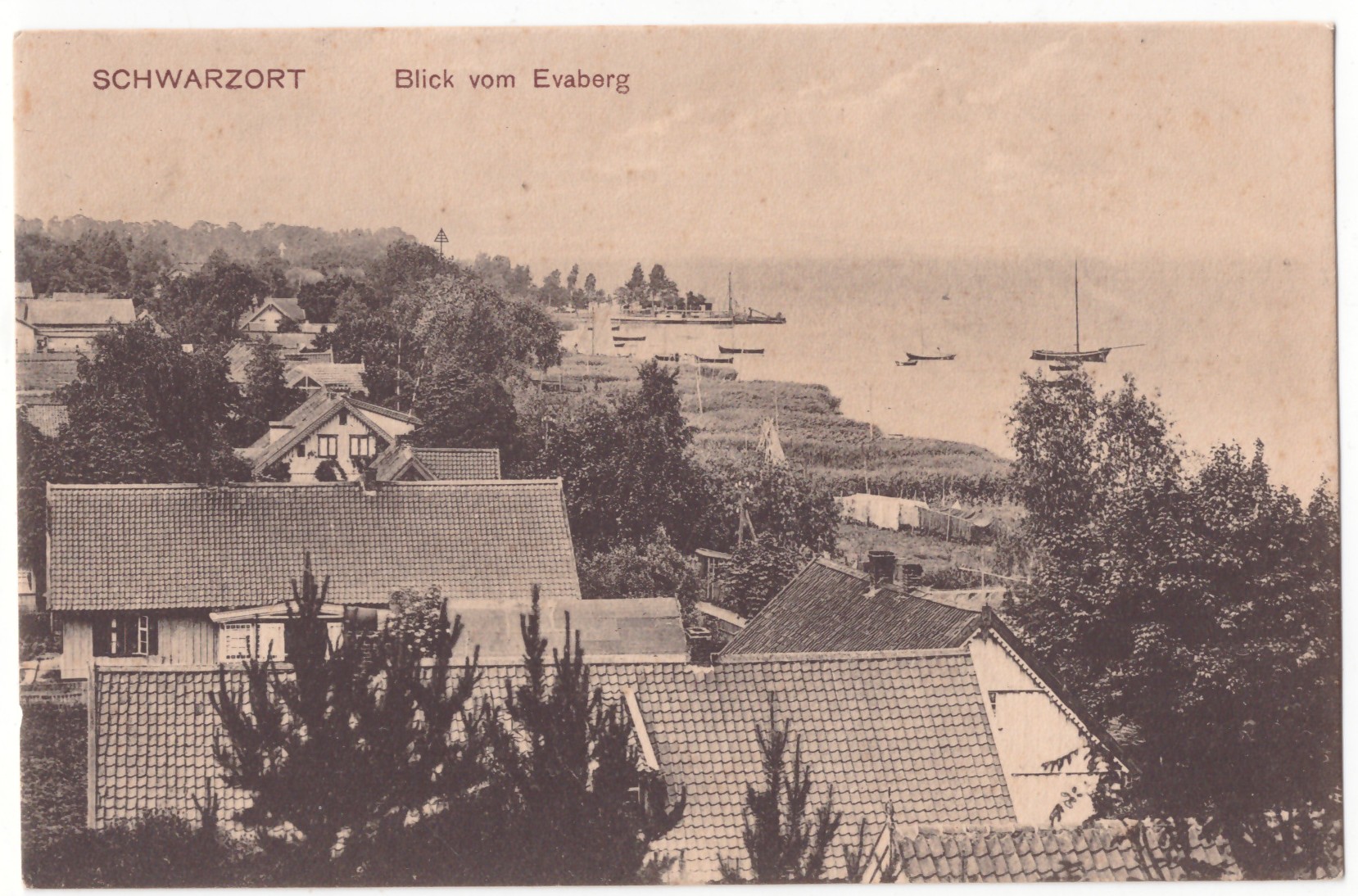 475. Juodkrantė panorama