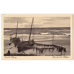 489. Kuršių Nerija Pilkopiai