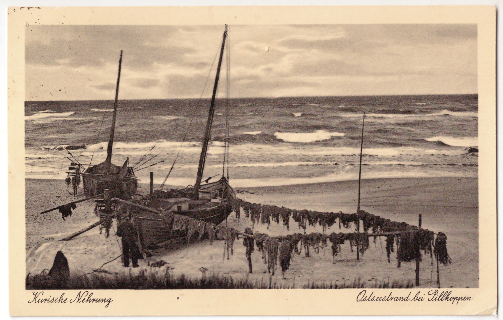 489. Kuršių Nerija Pilkopiai