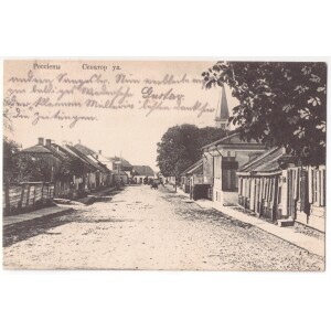 503. Raseiniai Senatorių gatvė