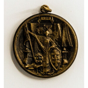 574. Medalis Didysis Vilniaus Seimas