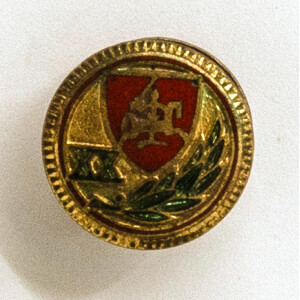 578. Ženklelis, skirtas Lietuvos Respublikos dvidešimtmečiui paminėti